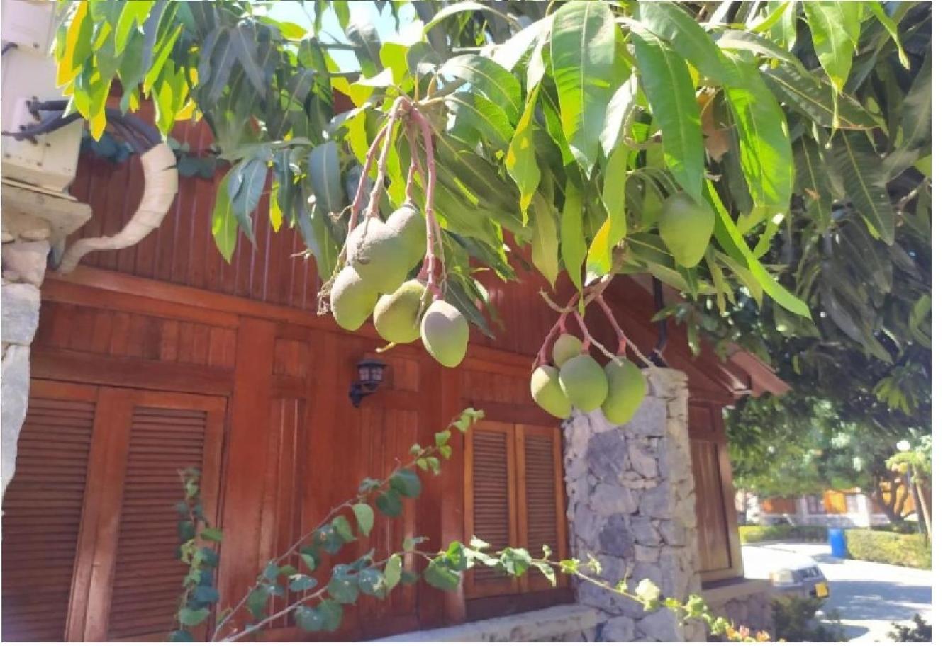 Completa Rodadero Hasta X 7 + Piscinas+wifi +aire Acondicionado * Santa Marta (Magdalena)